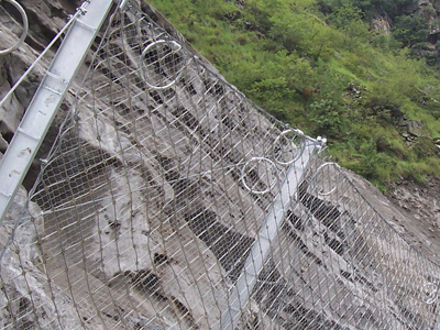 ����(d��ng)߅�·��o(h��)�W(w��ng)